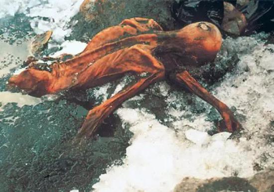1991年9月19日，“奥兹冰人”被发现时的情形。